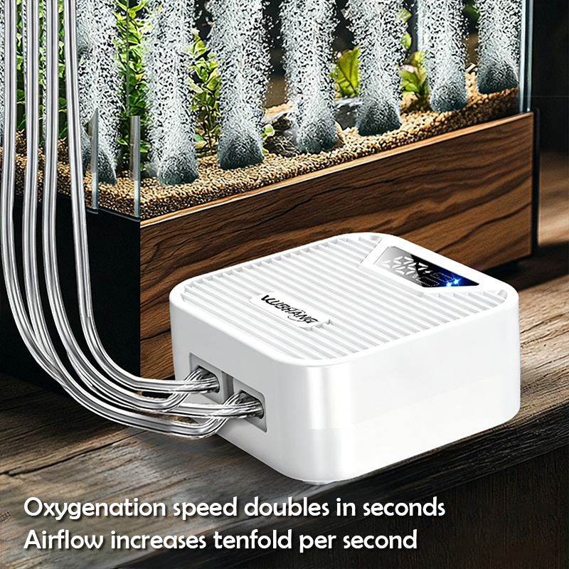 Pompa di Ossigeno per Acquario - Outdoor Usb Power Adapter recensione e prezzo